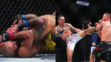Multiple types of MMA Fighting styles
